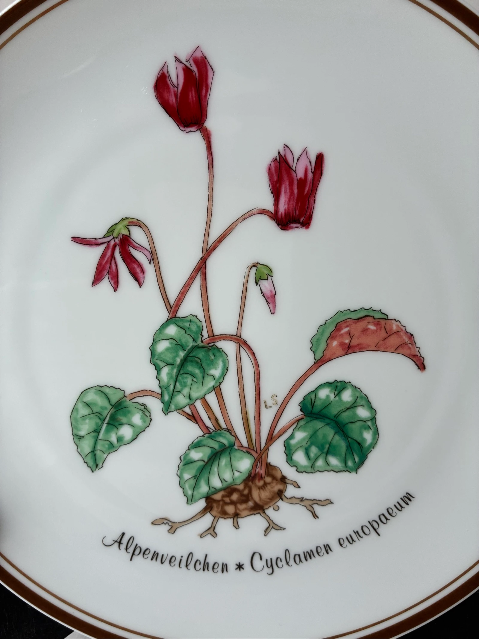 Rosenthal Classic Rose collector's plate – "Aus Liebe zur Natur" No. 4 Cyclamen (1978) – photo 2